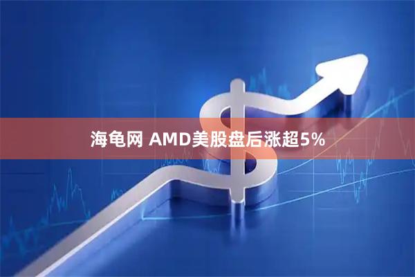 海龟网 AMD美股盘后涨超5%