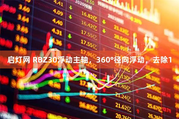 启灯网 RBZ30浮动主轴，360°径向浮动，去除1